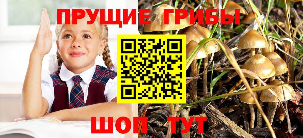 Галлюциногенные грибы мицелий  Вход с VPN  где найти наркотики  Людиново  Псилоцибиновые грибы мицелий 